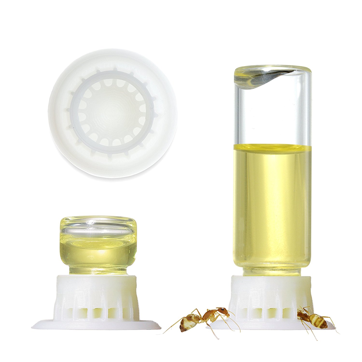 GALILEO Liquid Ant Feeder Feeding Kit (byFormica) OhioAnts